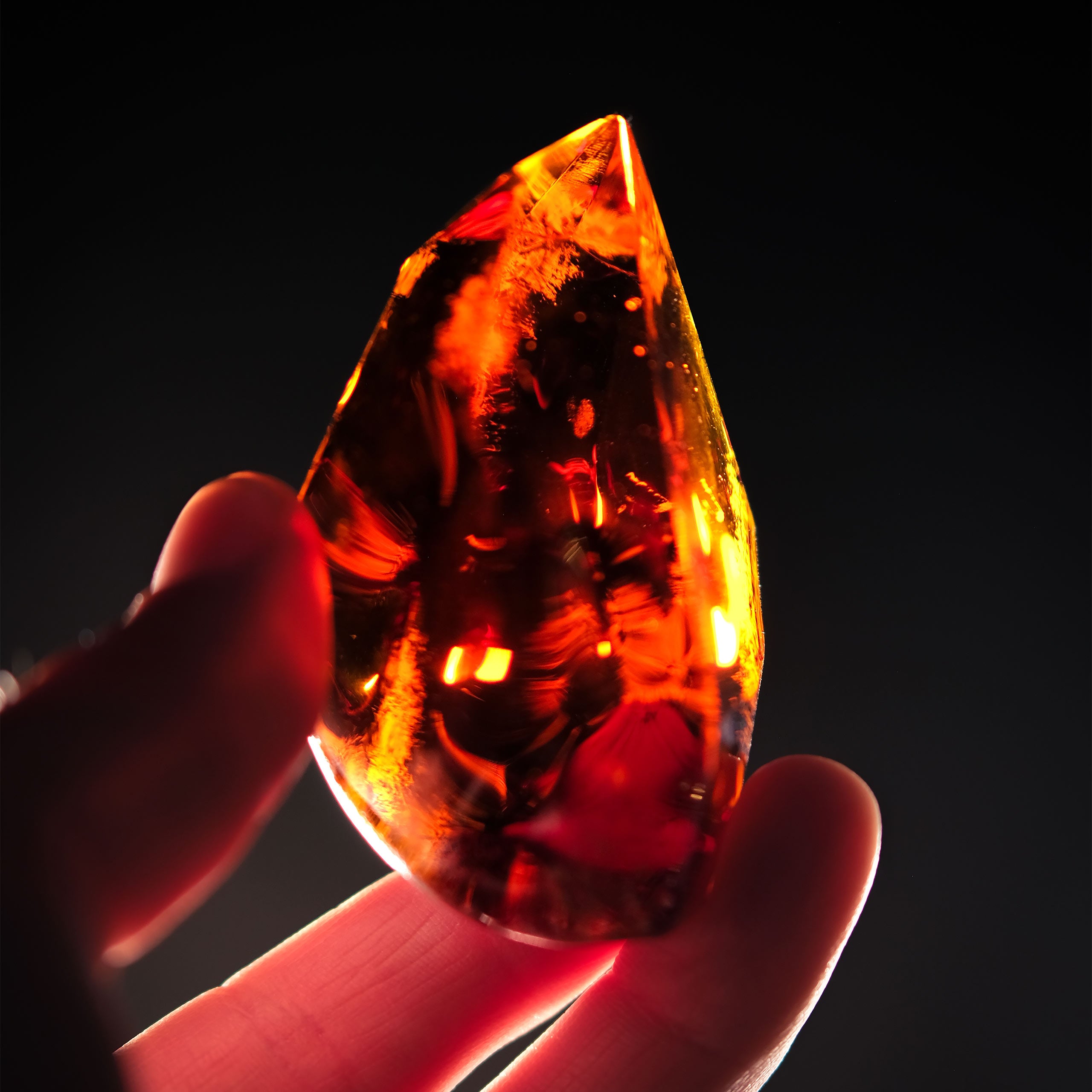 Product image The Philosopher's Stone