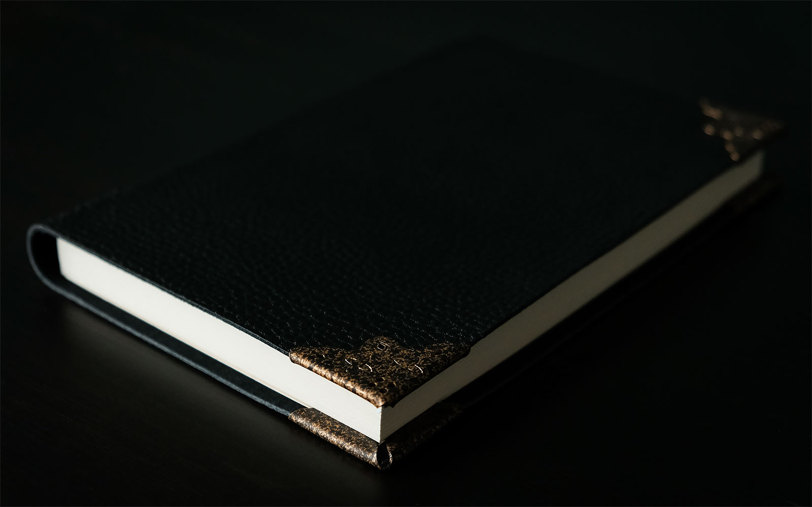 Product image Harry Potter - Tom Riddle's Diary