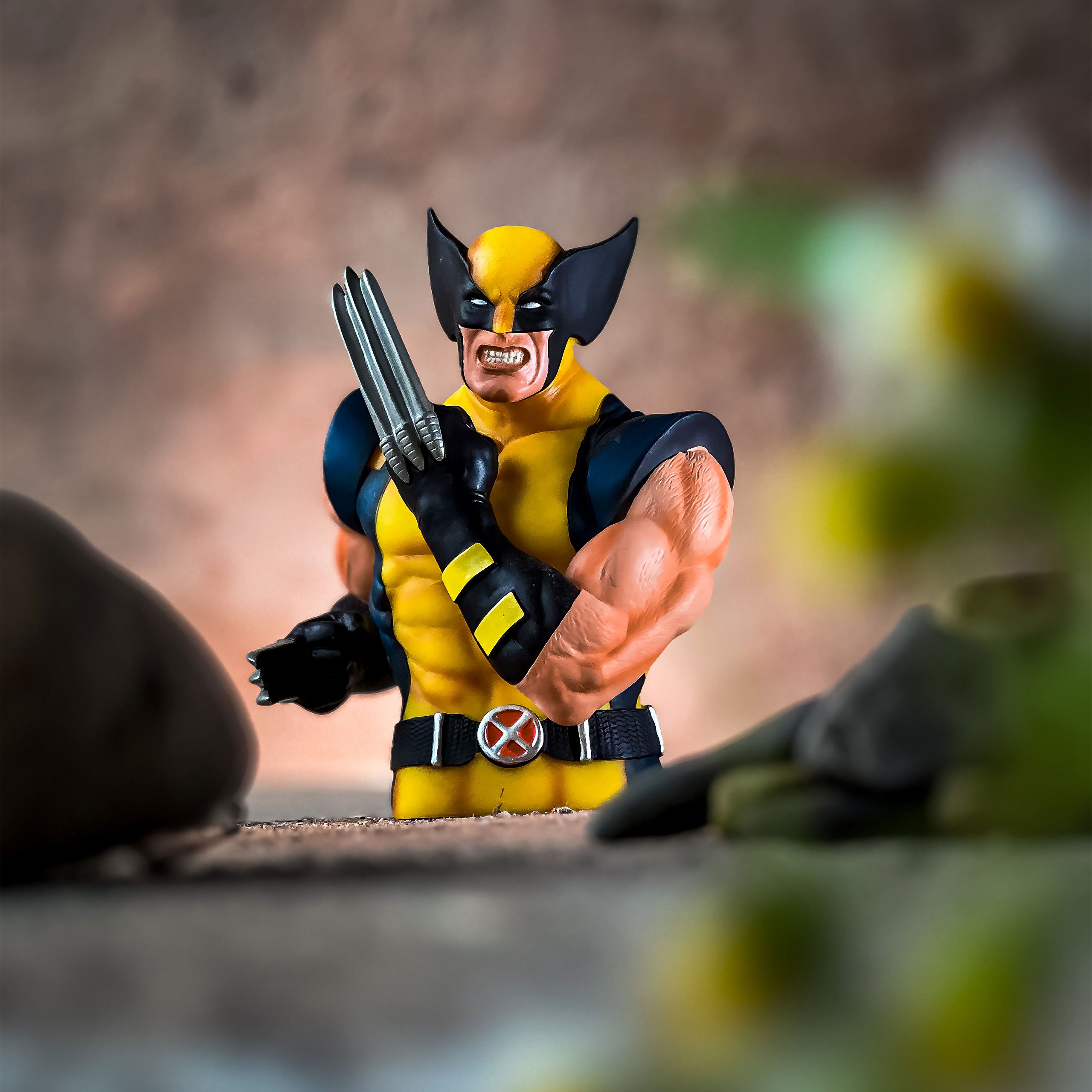 Product image Wolverine Money Box