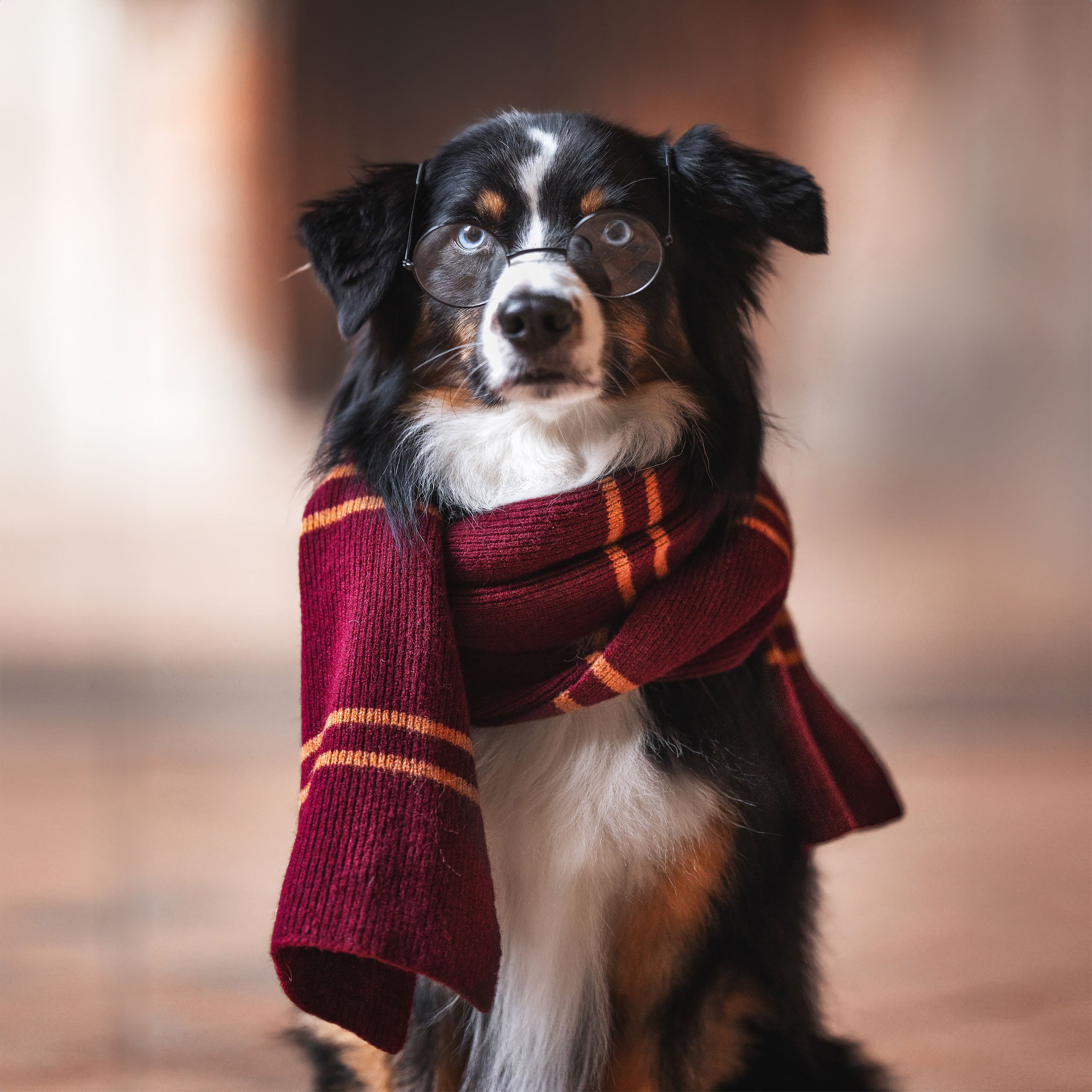 Product image Harry Potter - Original Gryffindor Wool Scarf