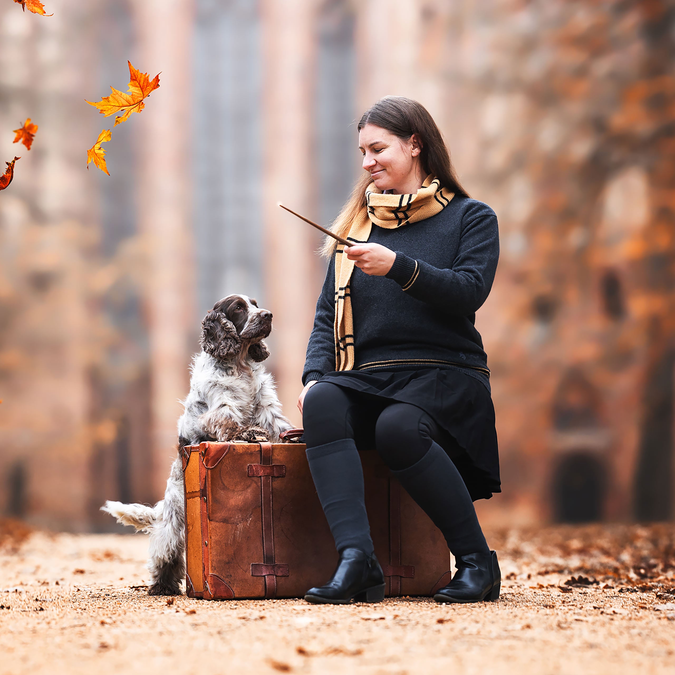 Product image Harry Potter - Original Hufflepuff Wool Scarf