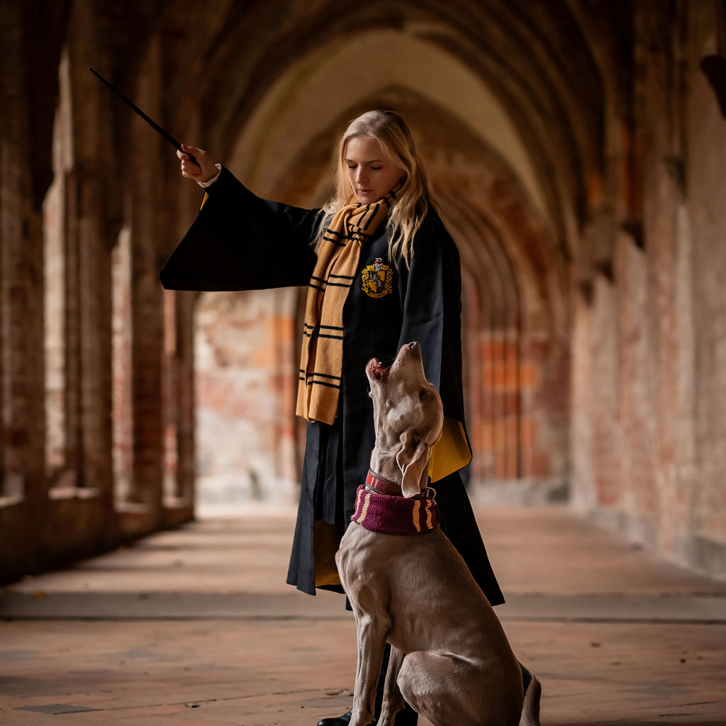 Product image Harry Potter - Original Hufflepuff Wool Scarf