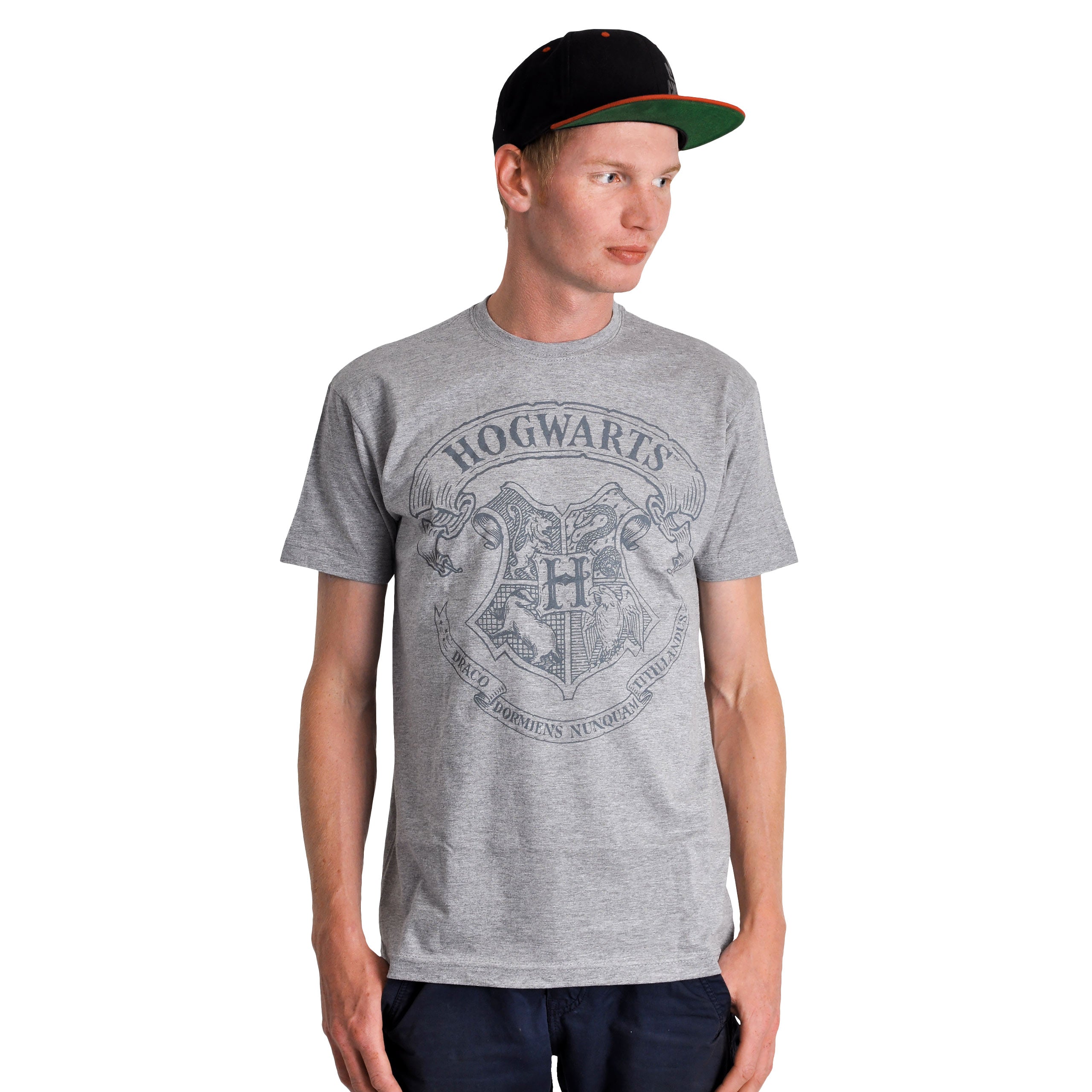 Product image Harry Potter - Logo T-Shirt Grey