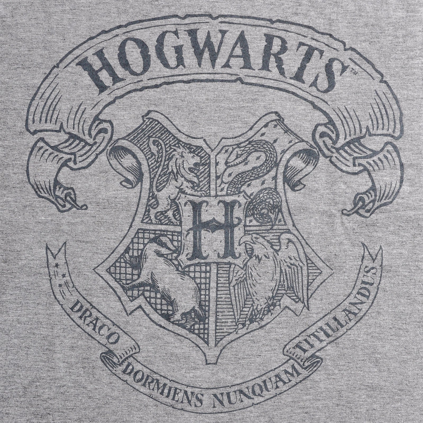 Product image Harry Potter - Logo T-Shirt Grey