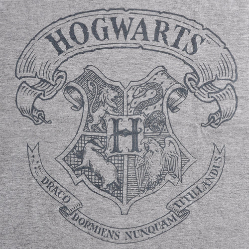 Product image Harry Potter - Logo T-Shirt Grey
