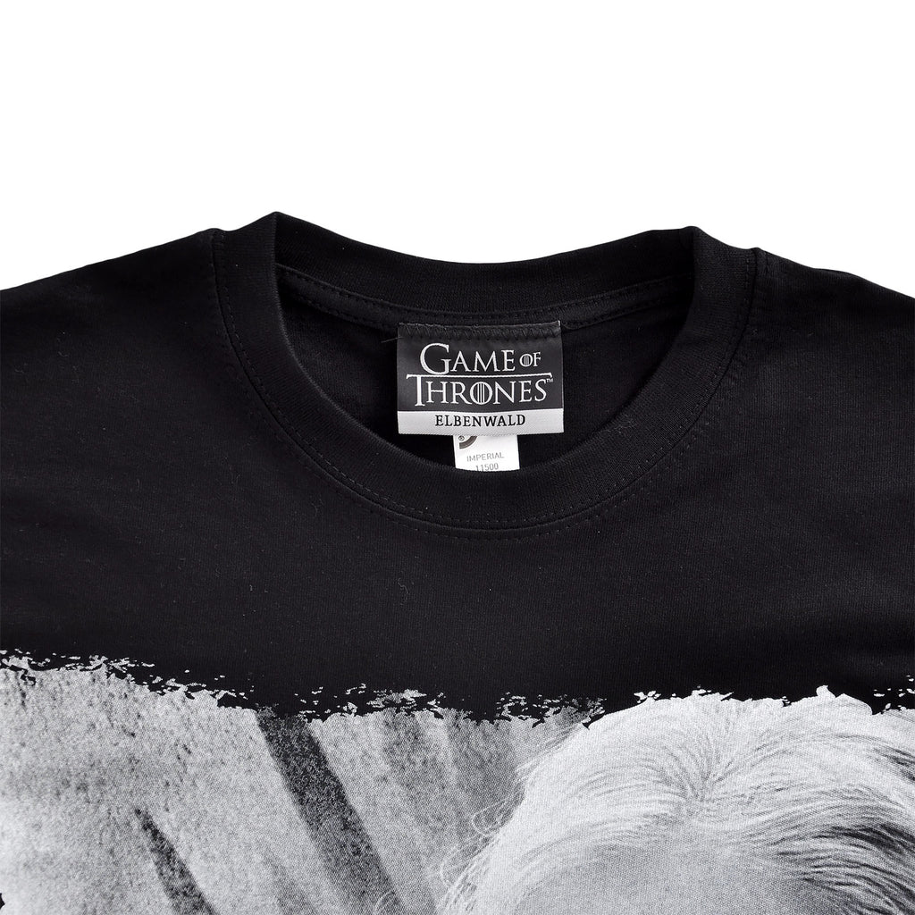 Product image Game of Thrones - Daenerys Fire and Blood T-Shirt