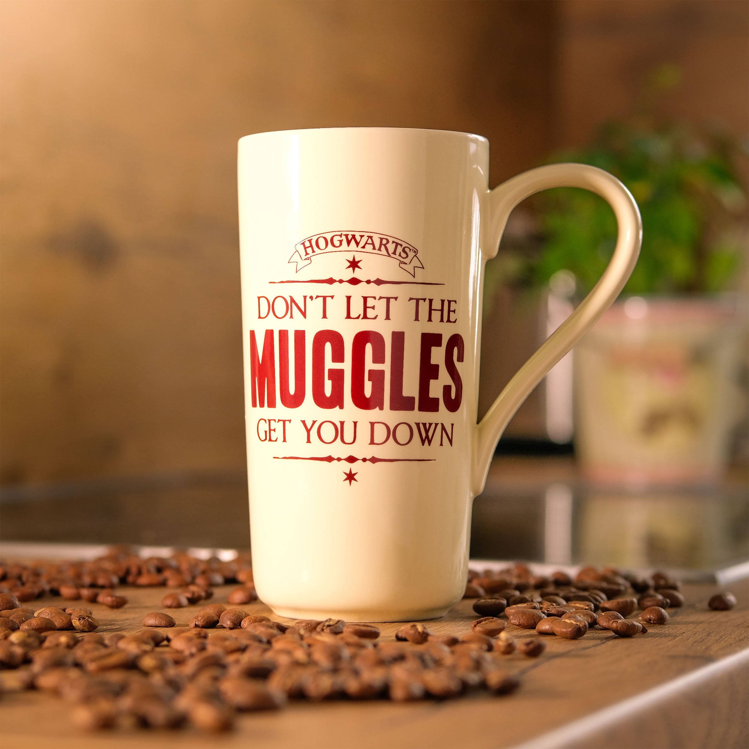 Product image Harry Potter - Muggle Mug XXL