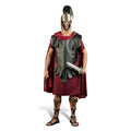 Product image Roman Fighter - Men's Costume