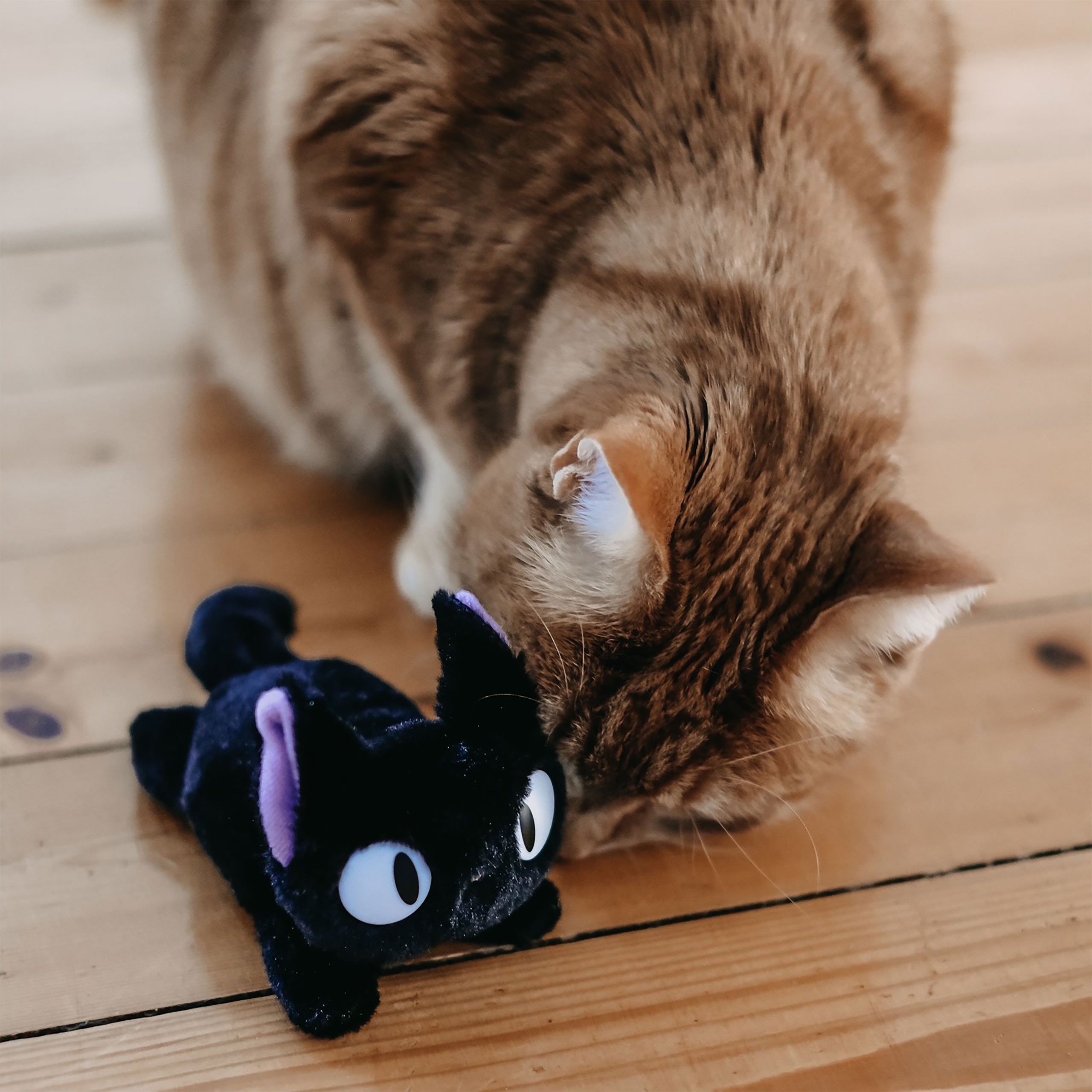 Product image Ghibli - Jiji Plush Figure