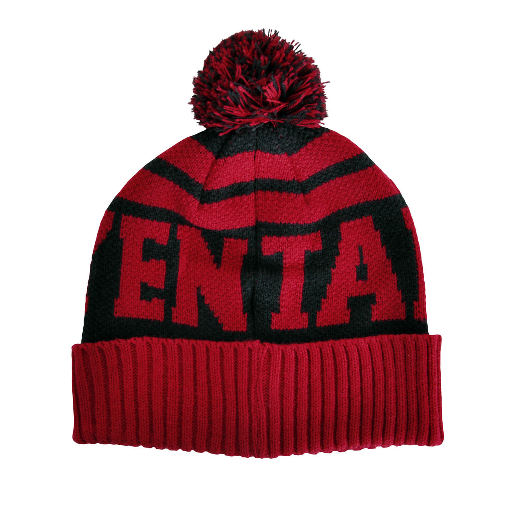 Product image Game of Thrones - Targaryen Hat