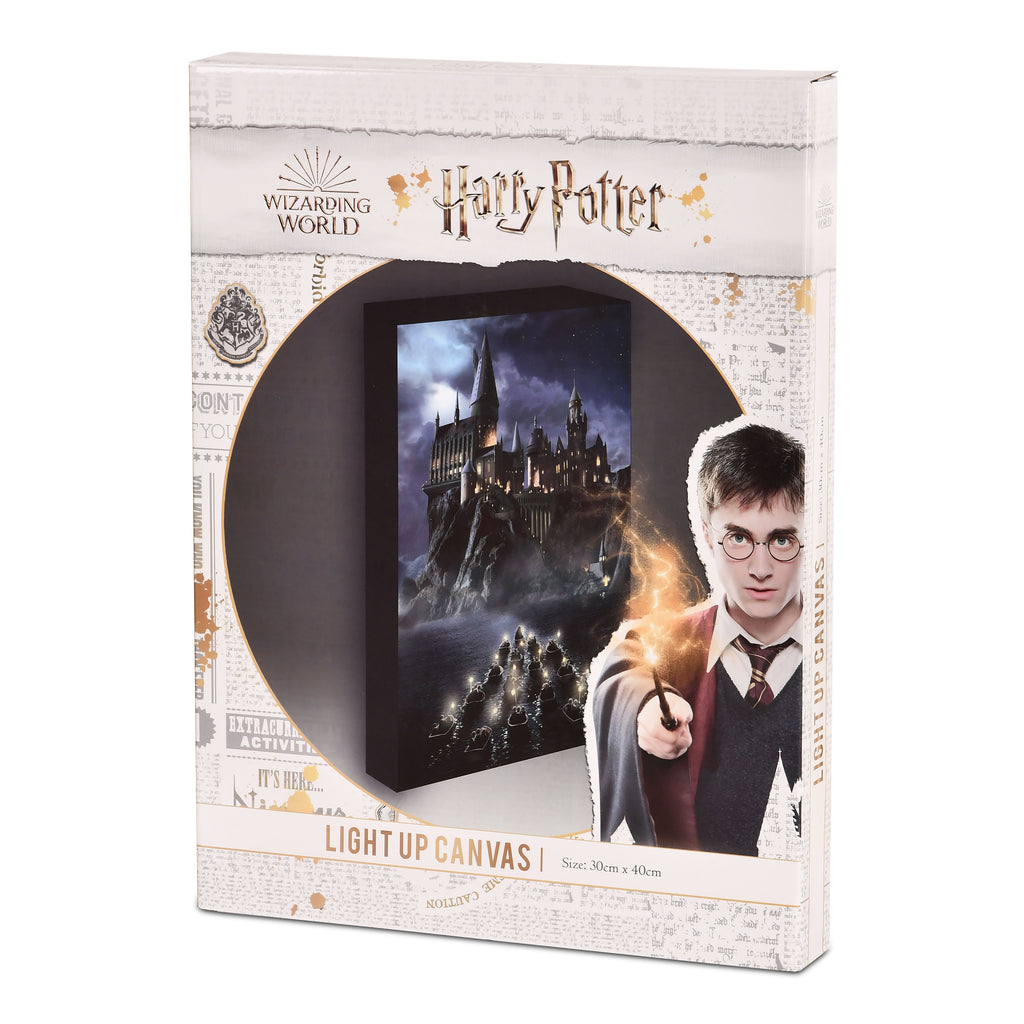 Product image Harry Potter - Hogwarts wall art with light