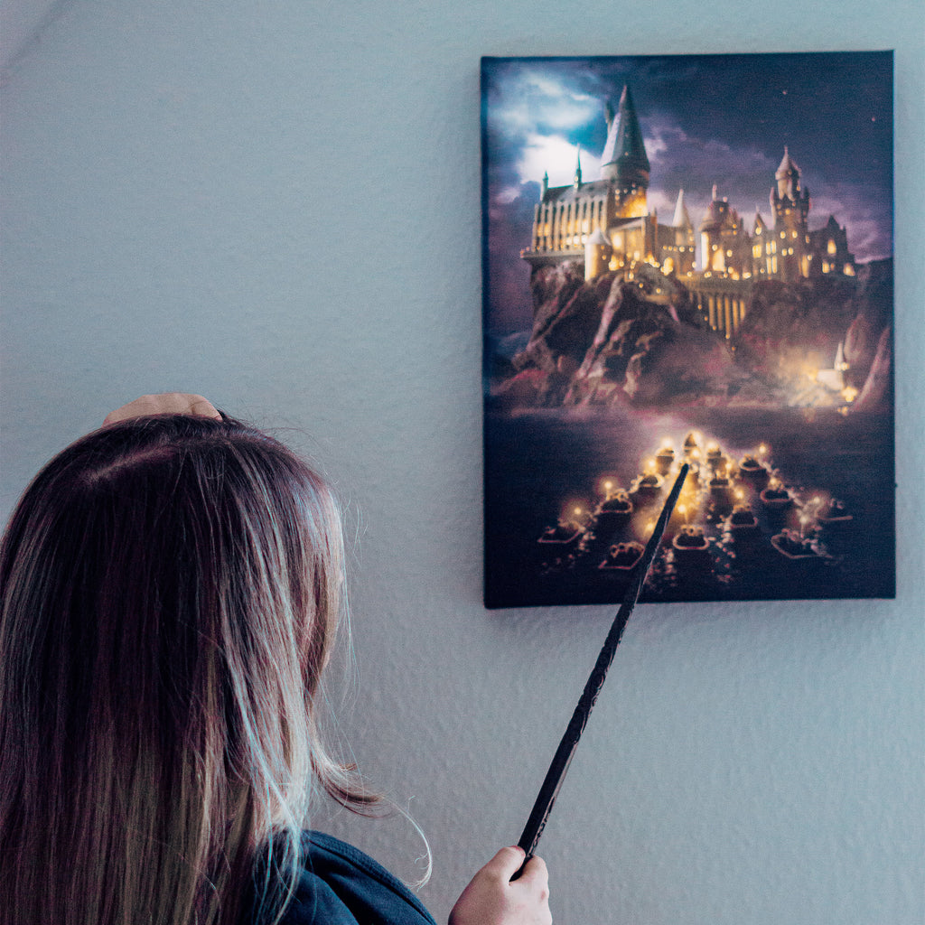 Product image Harry Potter - Hogwarts wall art with light
