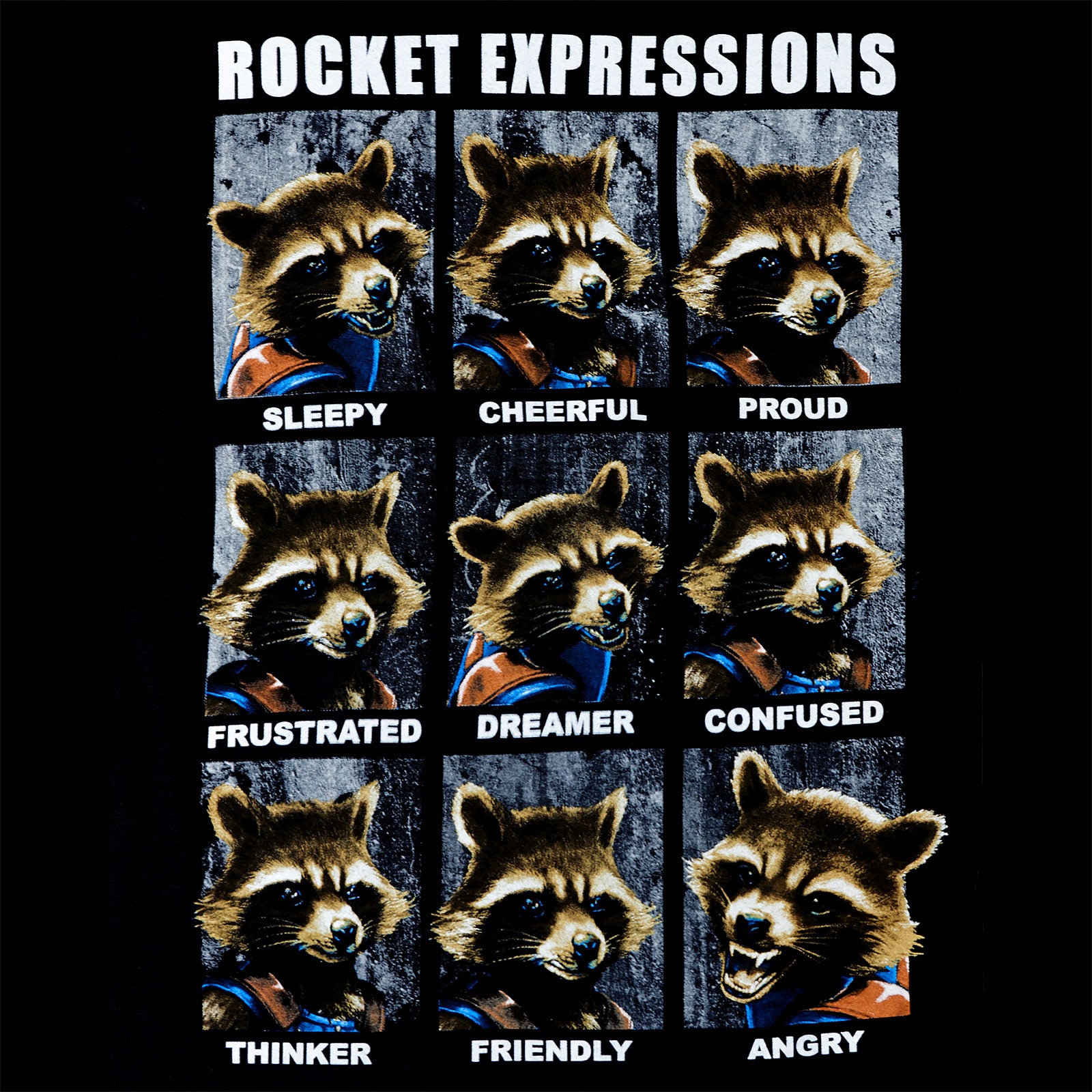 Product image Guardians of the Galaxy - Rocket Expressions T-Shirt black