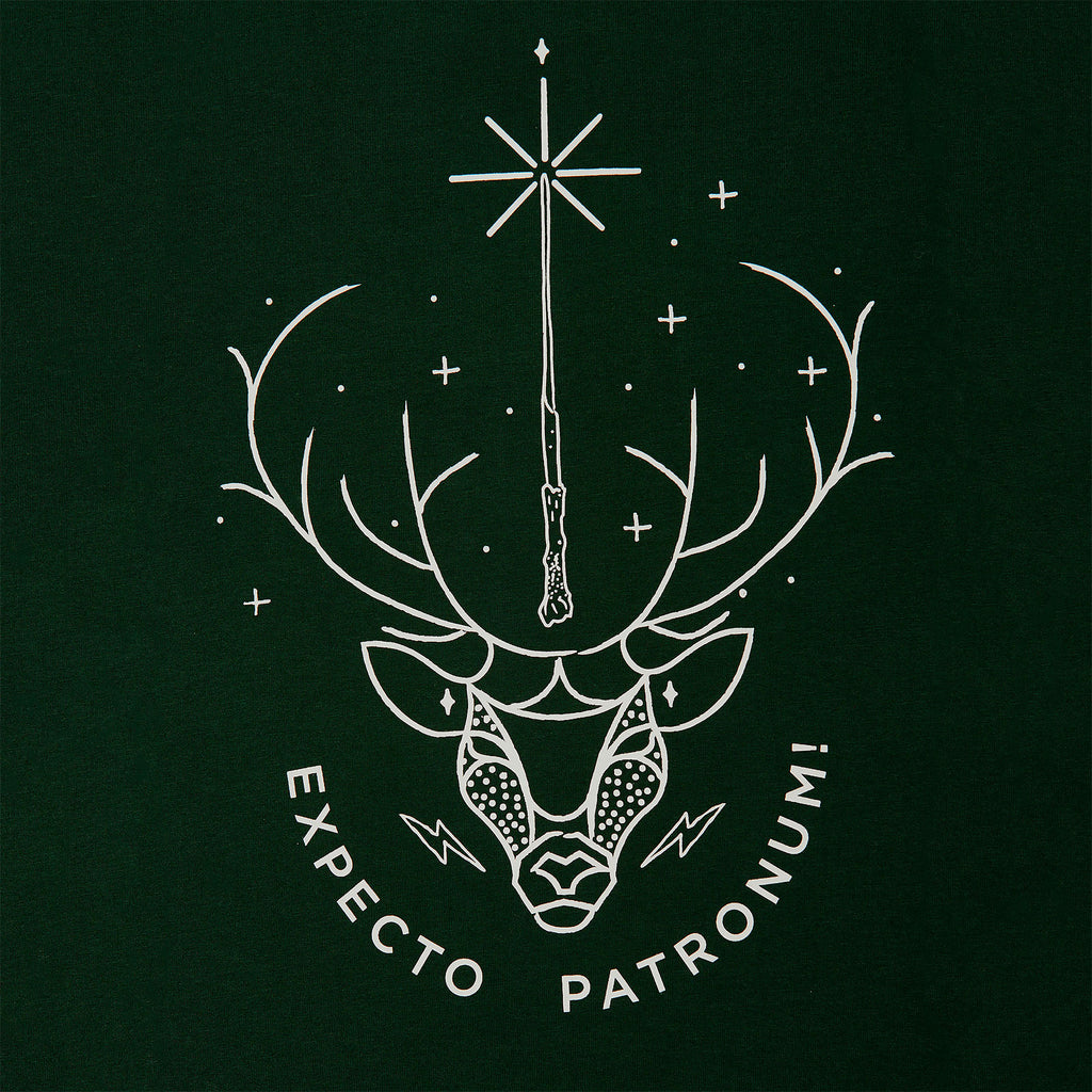 Product image Harry Potter - Expecto Patronum T-Shirt green