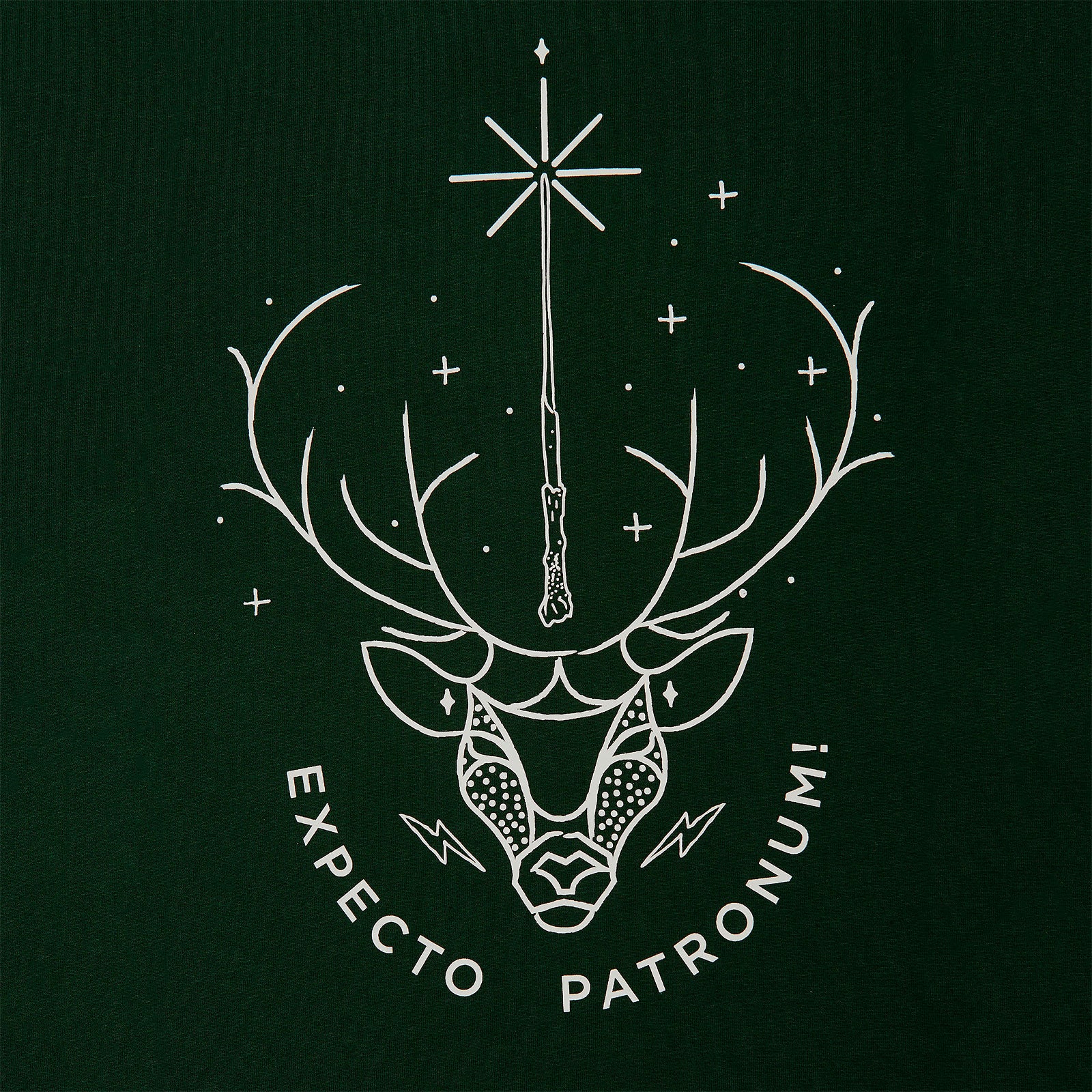 Product image Harry Potter - Expecto Patronum T-Shirt green