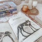 Product image Fantastic Beasts and Where to Find Them - Deluxe Edition