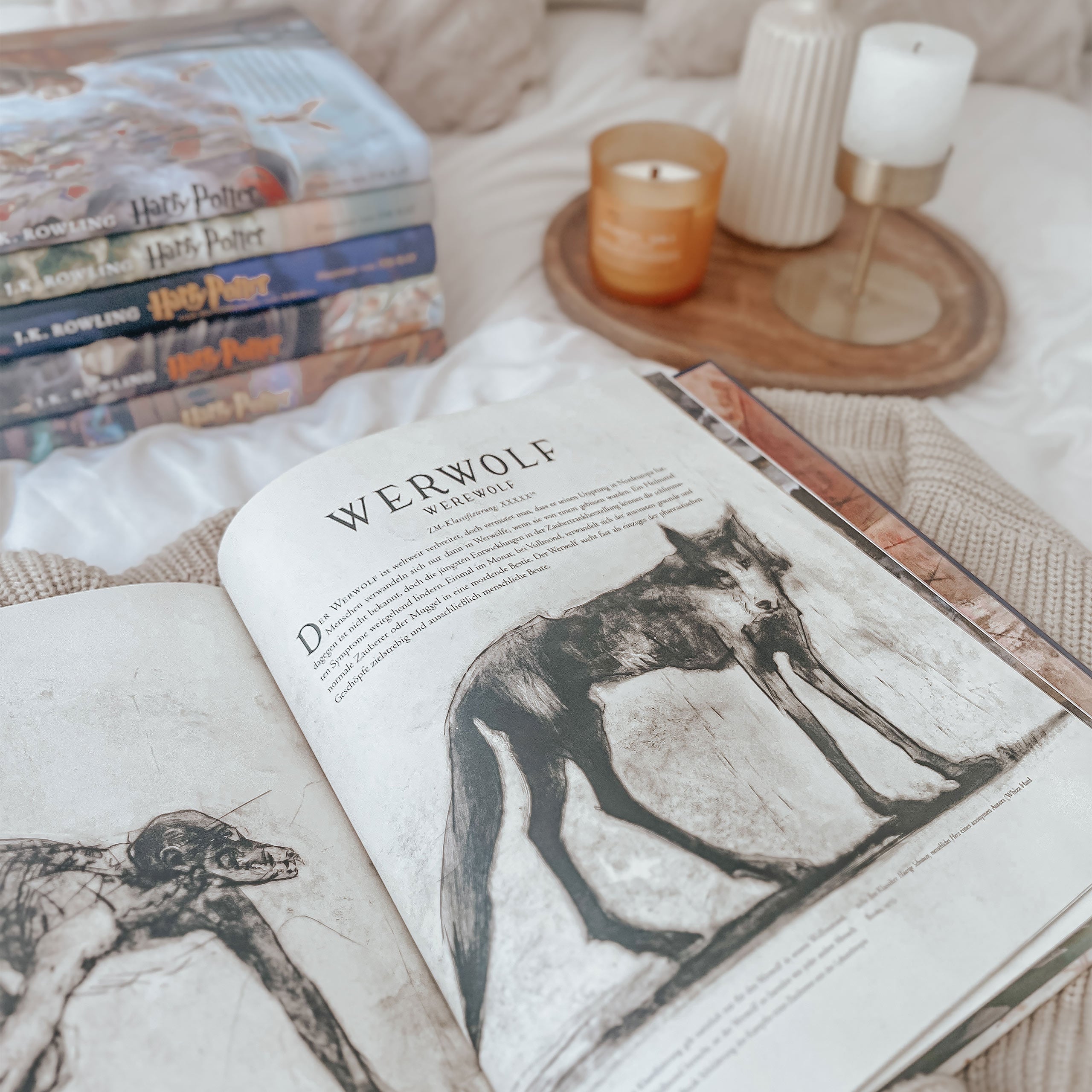 Product image Fantastic Beasts and Where to Find Them - Deluxe Edition