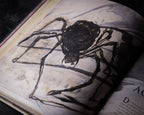 Product image Fantastic Beasts and Where to Find Them - Deluxe Edition