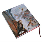 Product image Harry Potter and the Philosopher's Stone - Jewel Edition