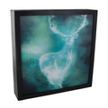 Product image Harry Potter - Patronus 3D Wall Art with Light