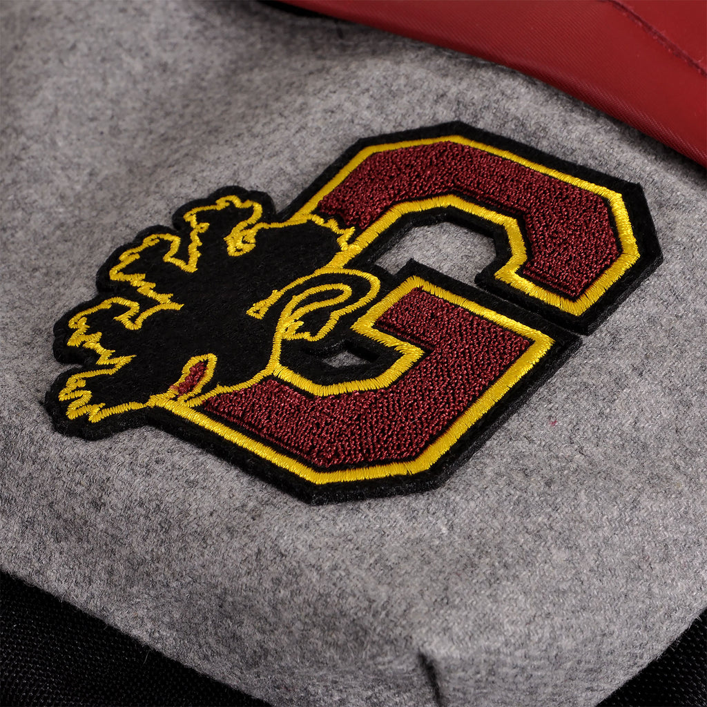 Product image Harry Potter - Gryffindor College Backpack