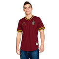 Product image Harry Potter - Quidditch Team Gryffindor T-Shirt