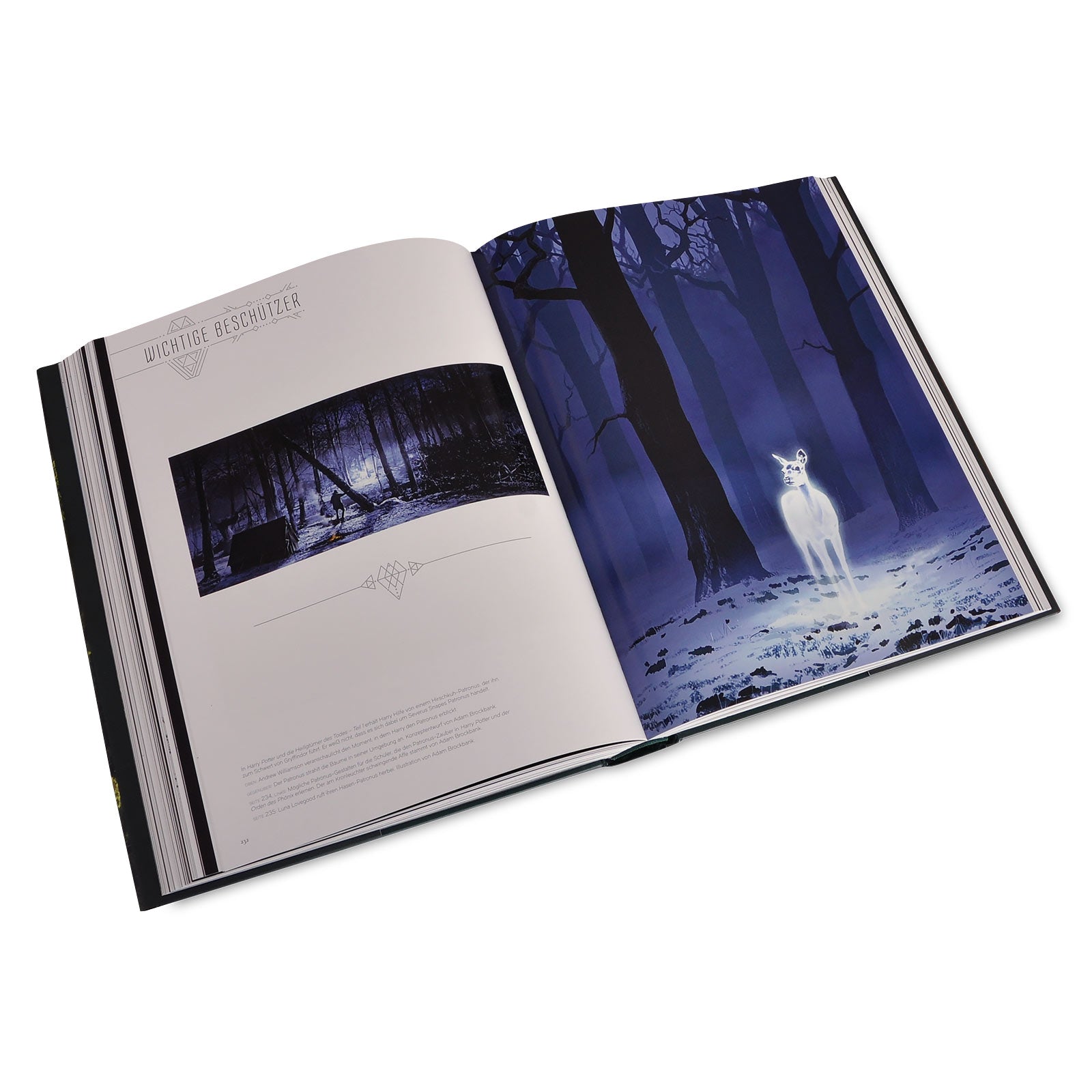 Product image The Art of Harry Potter - The Big Harry Potter Book