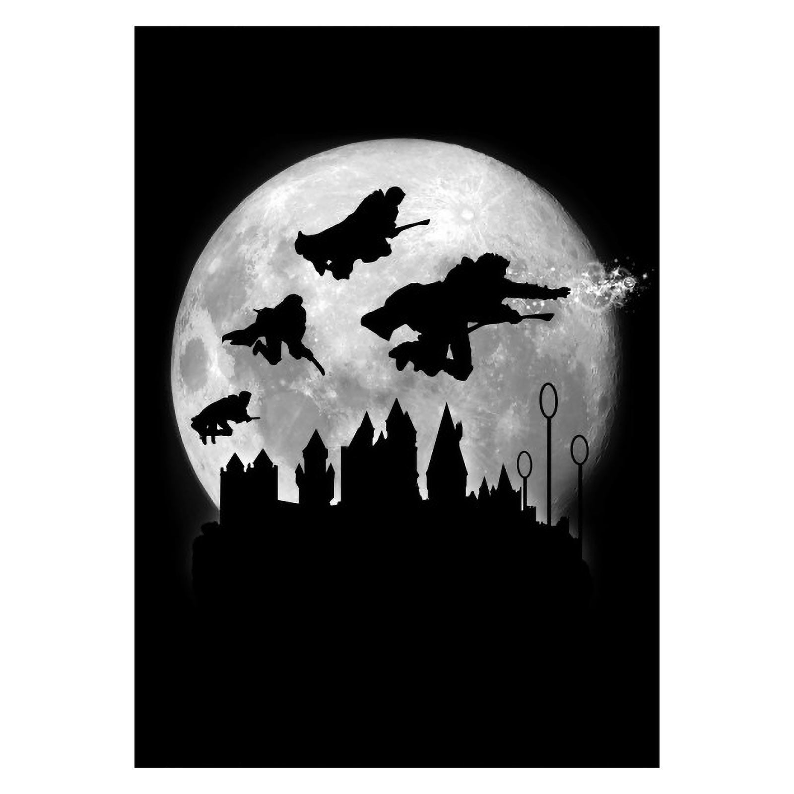 Product image Magic Flight at Night Metal Poster for Harry Potter Fans