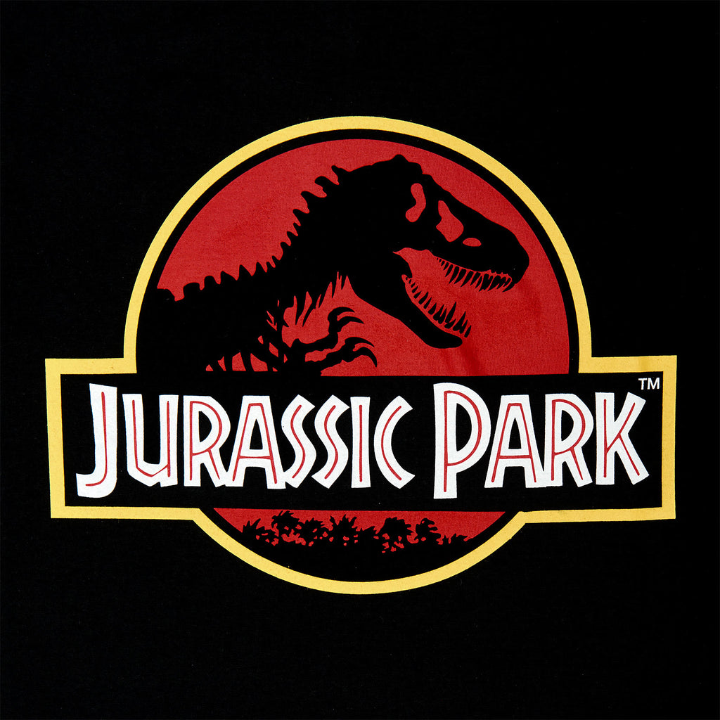Product image Jurassic Park - Movie Logo Hoodie Black
