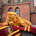 Product image Harry Potter - Crookshanks Plush Figure 43 cm