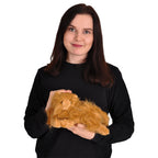 Product image Harry Potter - Crookshanks Plush Figure 25 cm