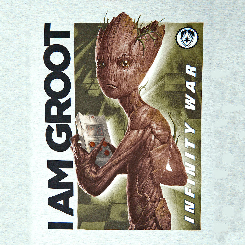 Product image Avengers - Teenage Groot Infinity War T-Shirt Grey