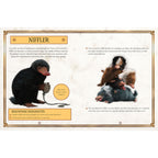 Product image Fantastic Beasts - The Crimes of Grindelwald - The book to the movie