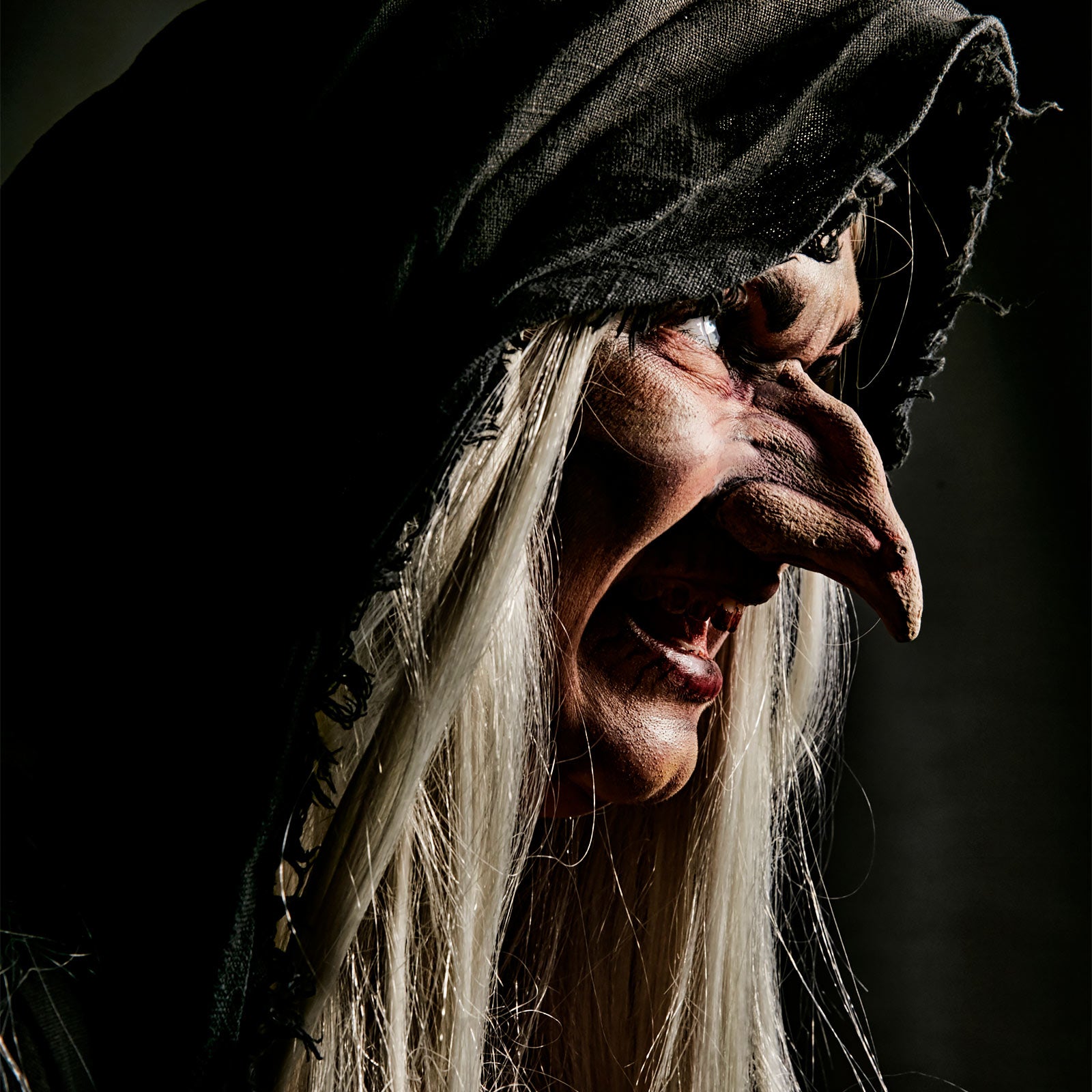 Product image Witch Nose made of Latex