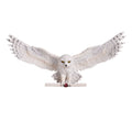 Product image Harry Potter - Hedwig Wand Sculpture