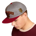 Product image Harry Potter - Gryffindor College Snapback Cap