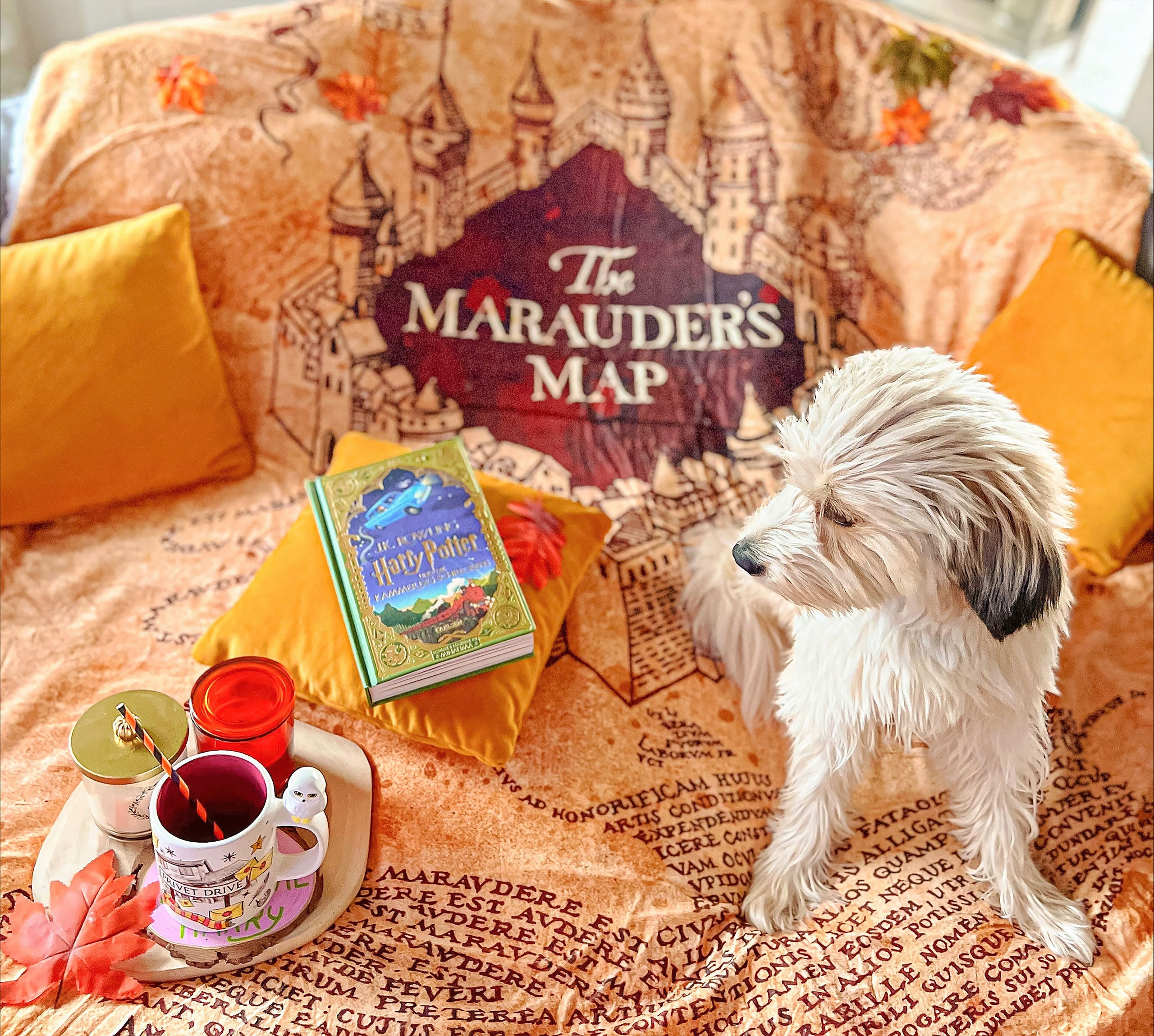 Product image Harry Potter - Marauder's Map Fluffy Blanket with Teddy Fur