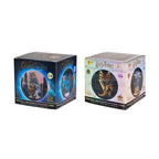 Product image Harry Potter & Fantastic Beasts - Mystery Cube Figure