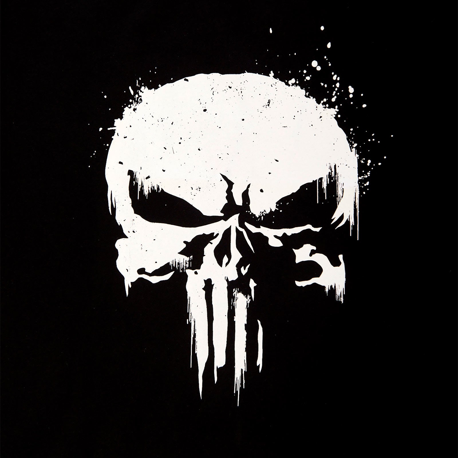 Product image Punisher - Skull Logo T-Shirt with sleeve print black