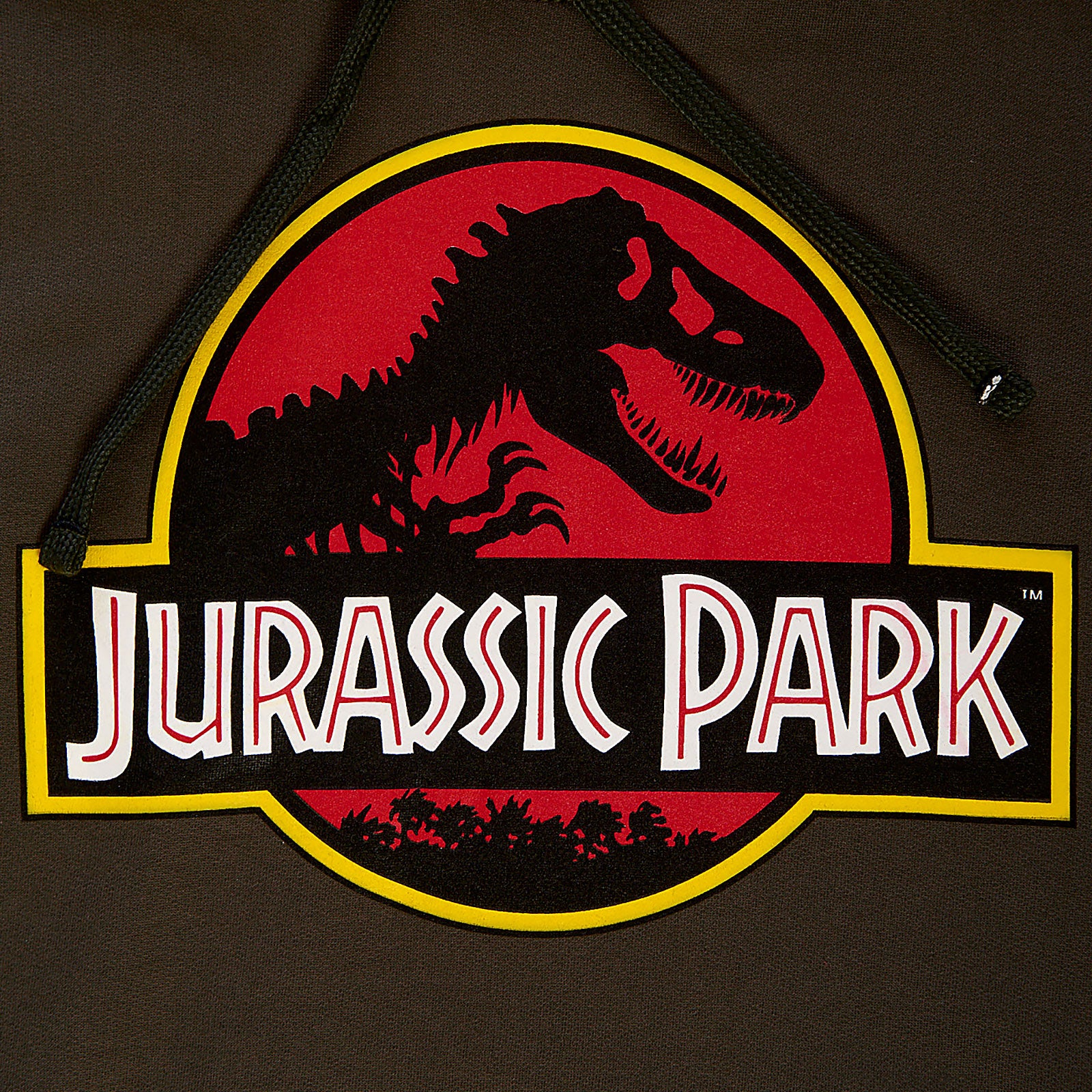 Product image Jurassic Park - Logo Hoodie green
