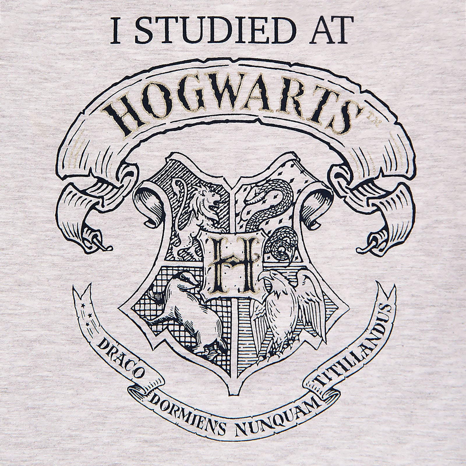 Product image Harry Potter - I Studied at Hogwarts Children's T-Shirt