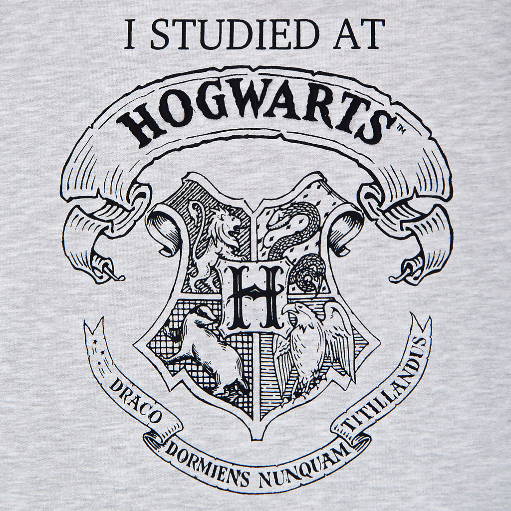 Product image Harry Potter - I Studied at Hogwarts Women's Sweater Grey
