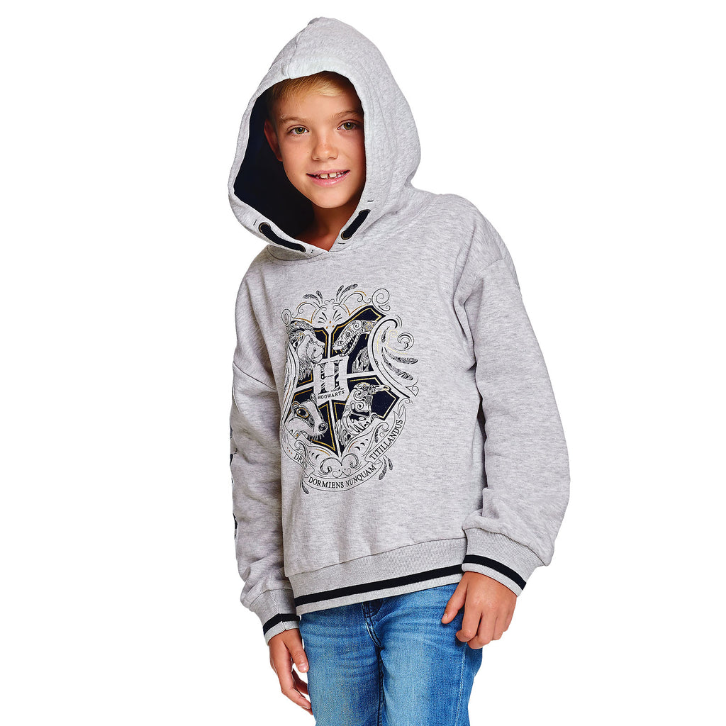 Product image Harry Potter - Hogwarts Kids Hoodie Grey