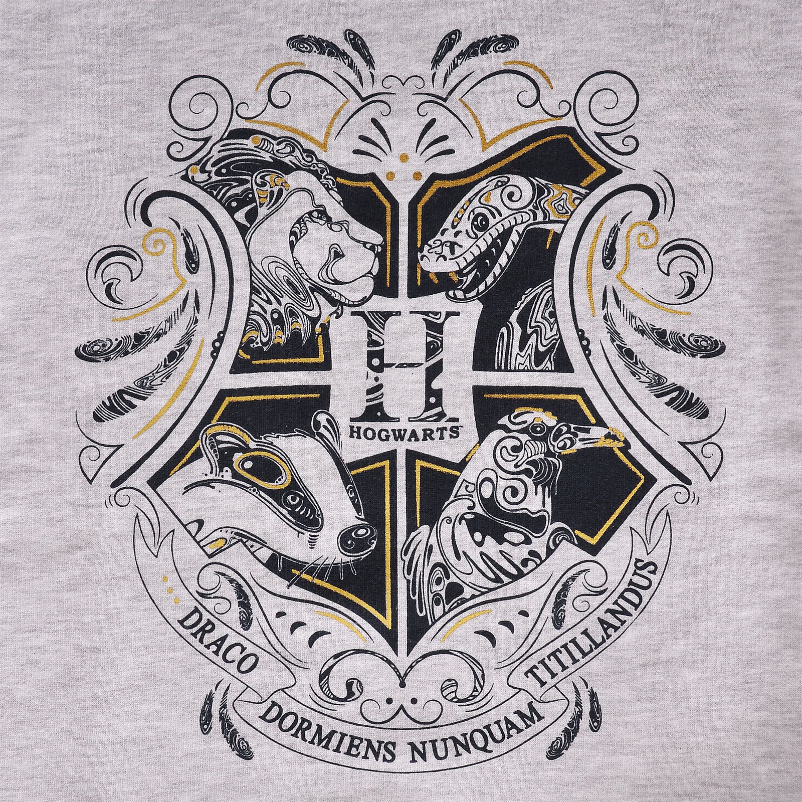 Product image Harry Potter - Hogwarts Kids Hoodie Grey