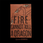 Product image Game of Thrones - Fire Cannot Kill a Dragon Targaryen T-Shirt black
