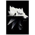 Product image Witcher - Open World Maxi Poster