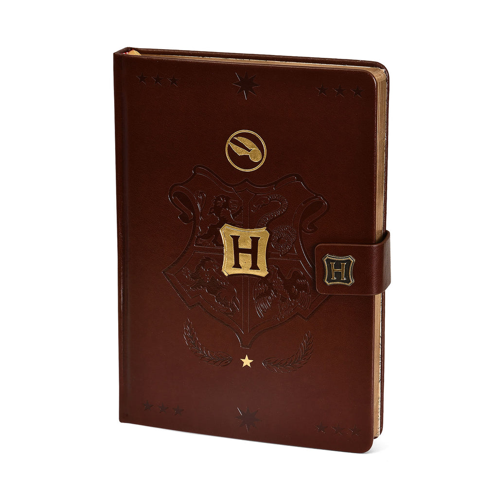 Product image Harry Potter - Hogwarts Quidditch Premium Notebook A5
