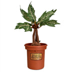 Product image Harry Potter - Mandrake Plush Figure in Pot with Sound 46 cm