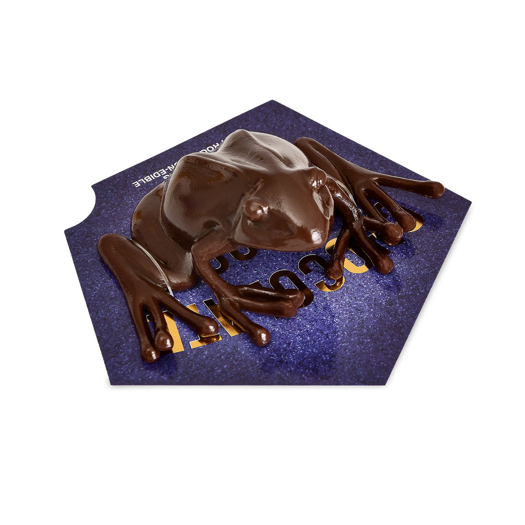 Product image Chocolate Frog Figure with Collector's Card - Harry Potter