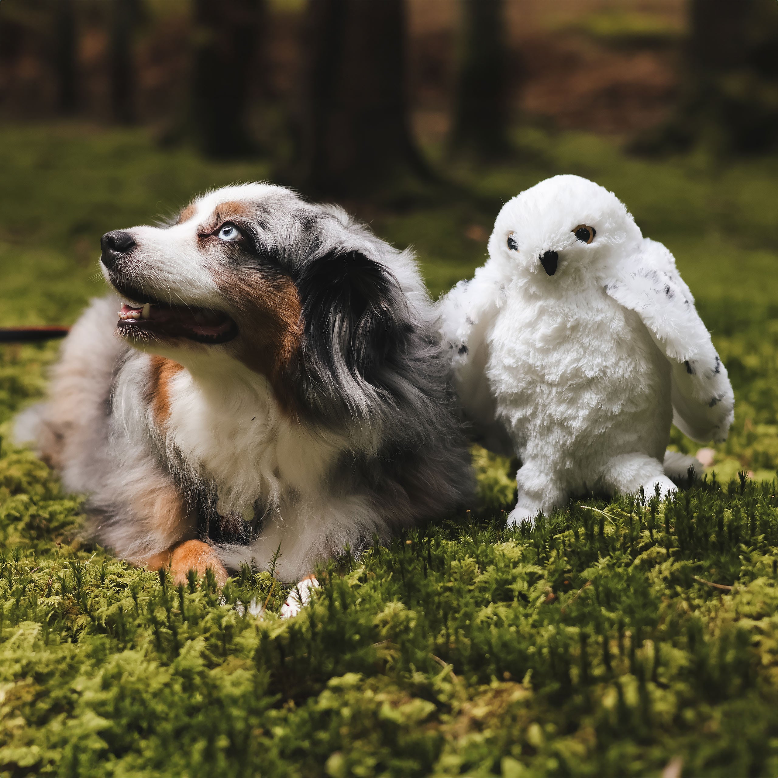 Product image Hedwig with open wings plush figure 28 cm - Harry Potter